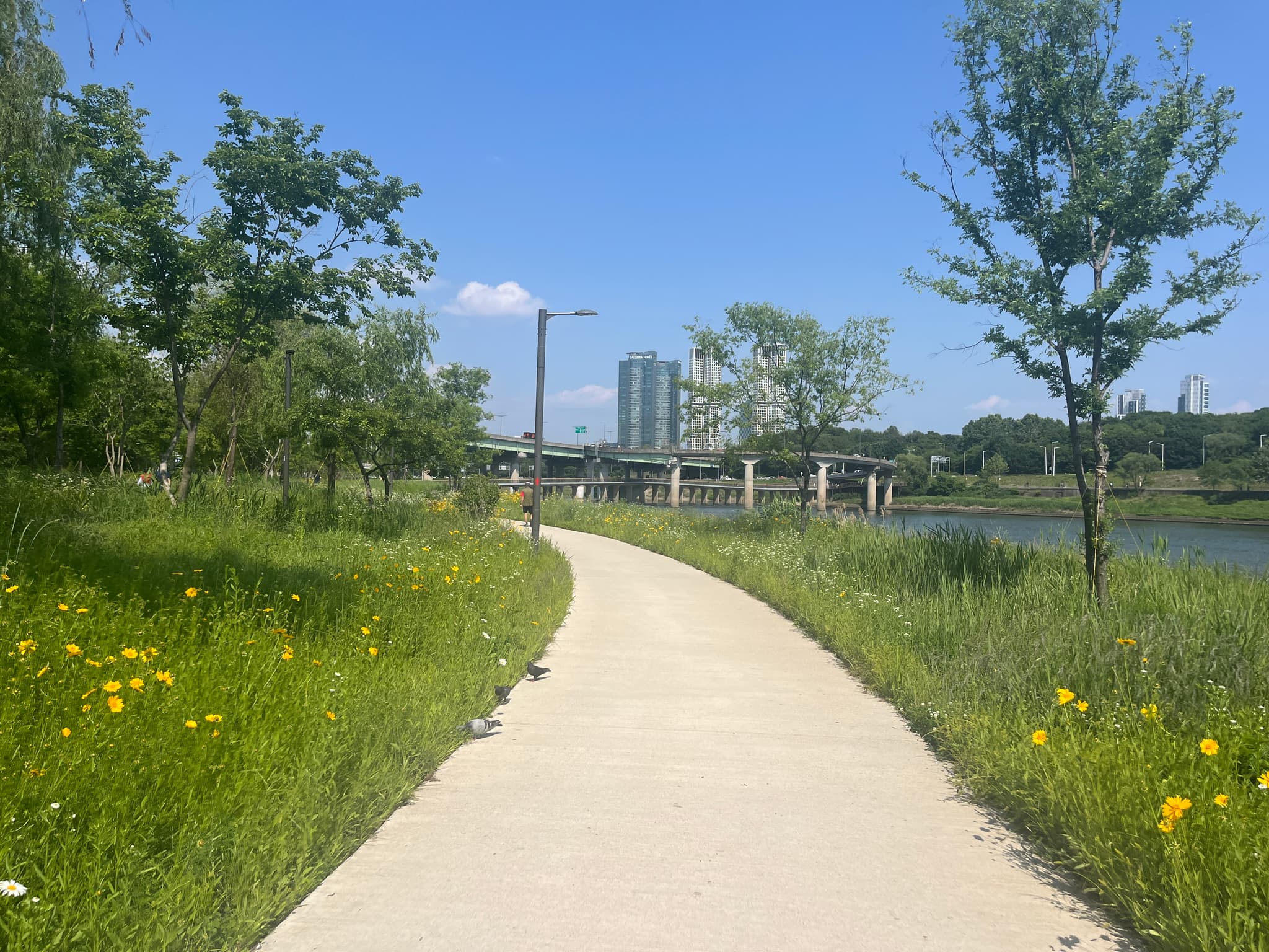 용비교 근처